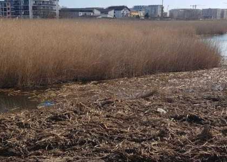 Sursa foto: Facebook/Baricada Verde