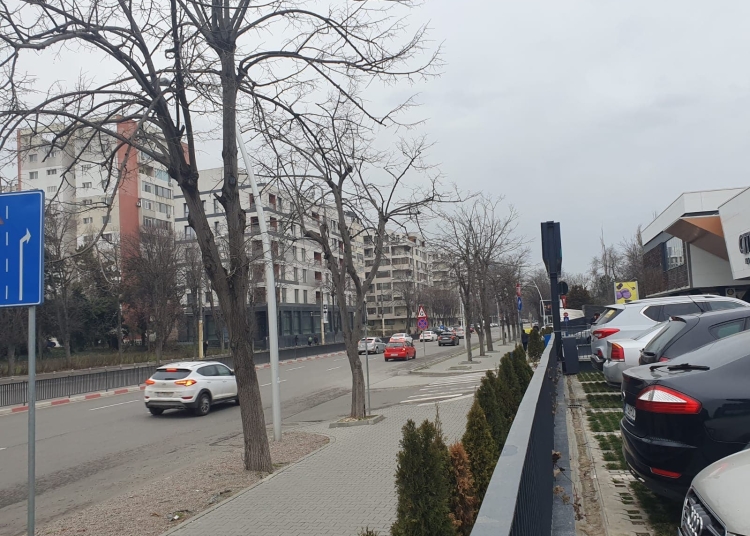 Bulevardul Alexandru Lăpuşneanu, unde a construit Grigore Comănescu