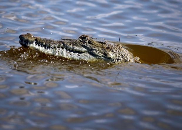 sursa foto:  Gulliver/Getty Images