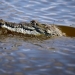 sursa foto:  Gulliver/Getty Images