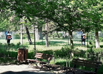 Foto cu rol ilustrativ