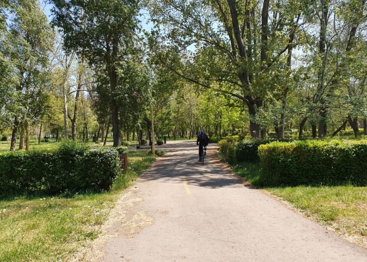 Parcul Tăbăcărie. Foto cu rol ilustrativ