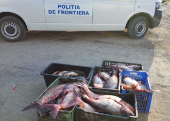 FOTO Poliția de Frontieră