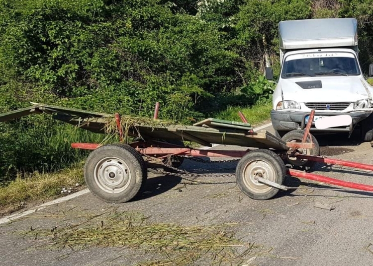 Căruțașul a fost rănit în urma impactului. FOTO IPJ Tulcea/ FOTO ROL ILUSTRATIV