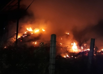 Focul a cuprins mai mulți baloți de paie. FOTO ISU Dobrogea