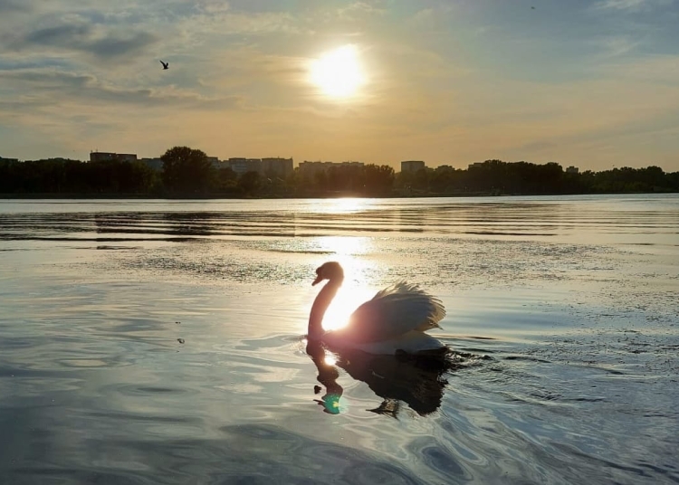 Lacul Tăbăcărie. FOTO Cătălin SCHIPOR