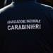 Carabinieri - Foto: Ulrike Leone de la Pixabay