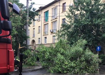 Pompierii au intervenit pentru a înlătura efectele codului portocaliu. FOTO ISU Delta Tulcea
