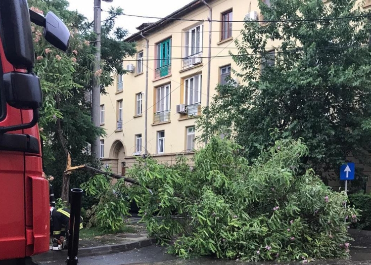 Pompierii au intervenit pentru a înlătura efectele codului portocaliu. FOTO ISU Delta Tulcea