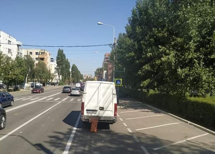 Dubița și sacul cu ceapă au  fost lăsate pe bulevardul Mamaia. FOTO Facebook