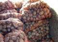 Foto-arhivă
