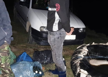 Sursa foto: IJJ