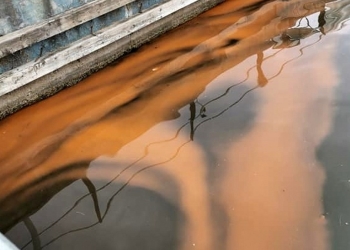 Poluare în Portul Turistic Mangalia. FOTO Facebook