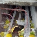 Defecțiunea a fost reparată cu un carton. FOTO Focus PRESS