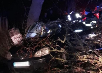 Pompierii au intervenit la accident în urma apelului 112. FOTO ISU Delta Tulcea