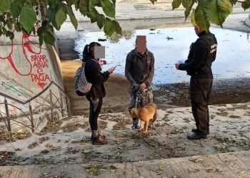 Polițiștii verifică dacă stăpânii animalelor de companie strâng după după acestea - Foto: Primăria Năvodari