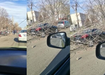 Copacii rupți s-au prăbușit pe șosea. FOTO Focus Press