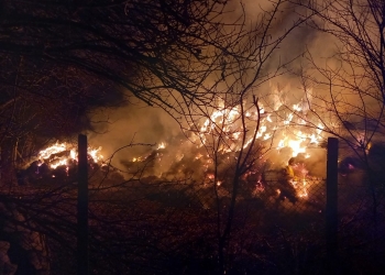 Incendiu la Oltina, sursa foto- ISU Dobrogea