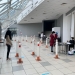Plata indemnizatiilor pentru alegerile paralamentare - Foto: Primăria Constanța