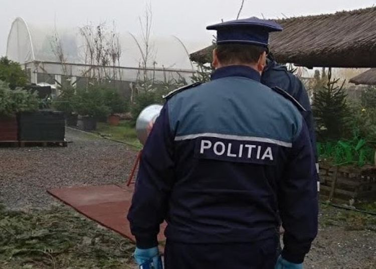 Polițiștii verifică brazii de Crăciun. FOTO IPJ Tulcea