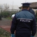 Polițiștii verifică brazii de Crăciun. FOTO IPJ Tulcea