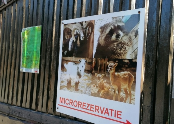 Microrezervație. FOTO Alexandra VASILE