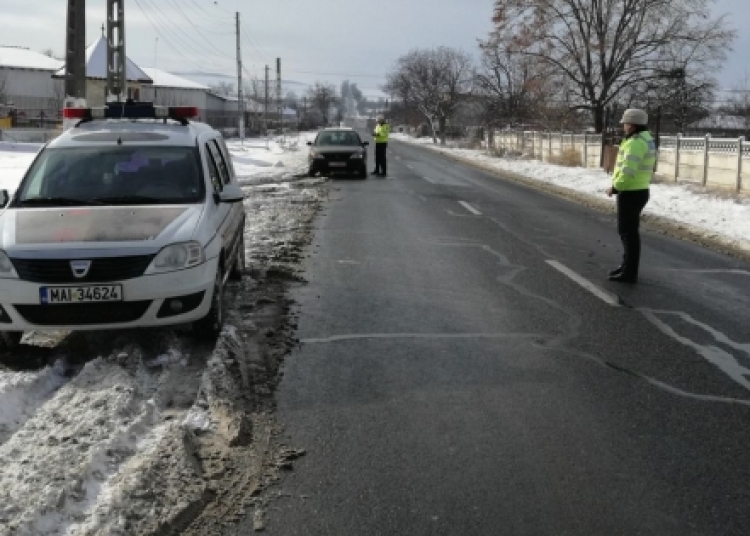 Foto- IPJ Tulcea