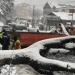 Viscolul a pus la pământ mai mulți arbori din municipiul Tulcea. FOTO Ștefan Ilie