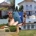 Fărcășești