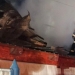 Incendiu imobil . FOTO (arhiva) ISU Tulcea