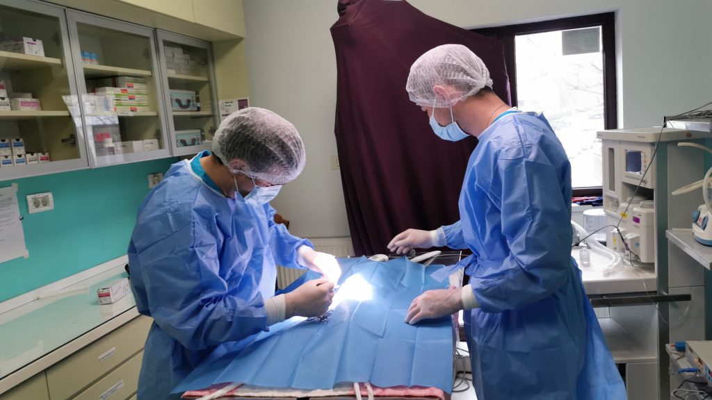 Hipospadias proximal tratat printr-o singura operatie la un baiat de 11 luni | just2play.ro