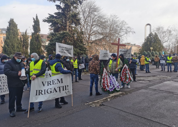 Protest APAD Constanța