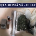 Foto: IPJ Constanța