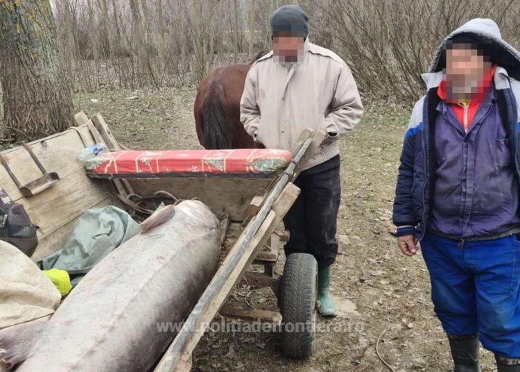 Braconier cu morun. FOTO Arhivă