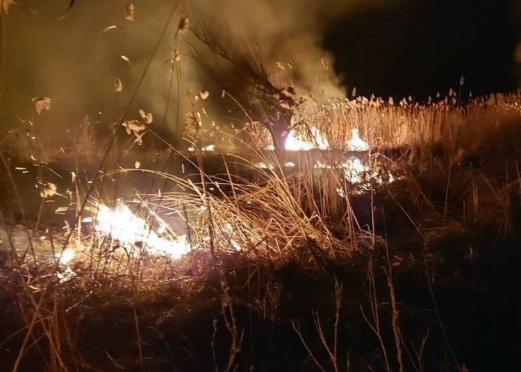 Pompierii au intervenit pentru a stinge incendiul de vegetație. FOTO ISU Delta Tulcea