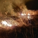 Pompierii au intervenit pentru a stinge incendiul de vegetație. FOTO ISU Delta Tulcea