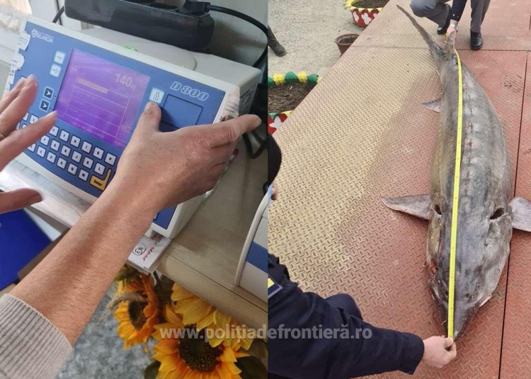 Morun recuperat de la braconieri. FOTO Poliția de Frontieră
