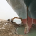 Nava Ever Given, eșuată pe Canalul Suez. FOTO suezcanal.gov.eg