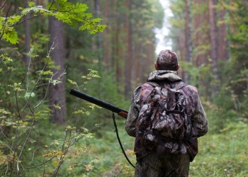 hunter walking with gun on the forest road