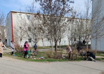 Curpțenie în Henri Coandă. FOTO Primăria Constanța