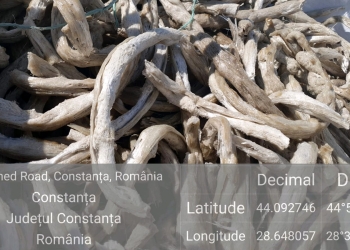 Container cu deșeuri de plastic. FOTO Garda de Mediu