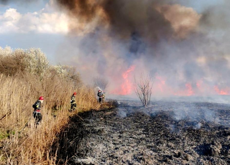 Pompierii au reușit să lichideze incendiul de vegetație uscată. FOTO ISU Delta Tulcea