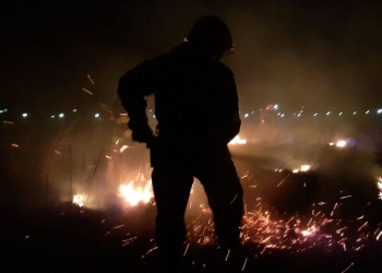 Incendiu de vegetație uscată. FOTO ISU Delta Tulcea