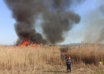 Incendiile de vegetație uscată le dau bătăi de cap pompierilor. FOTO ISU Delta Tulcea