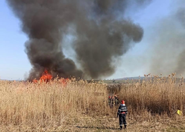 Incendiile de vegetație uscată le dau bătăi de cap pompierilor. FOTO ISU Delta Tulcea