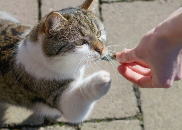 FOTO: Getty Images