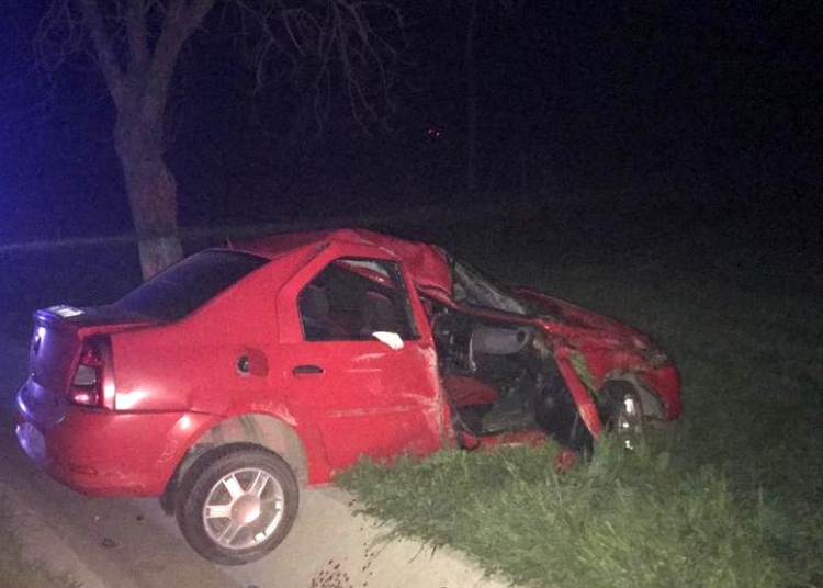 Loganul condus de tânărul de 19 ani a ajuns pe câmp. FOTO IPJ Tulcea