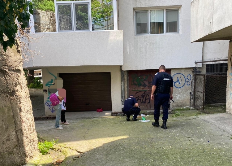 Jandarmii au recuperat poșeta furată. FOTO IJJ Tulcea