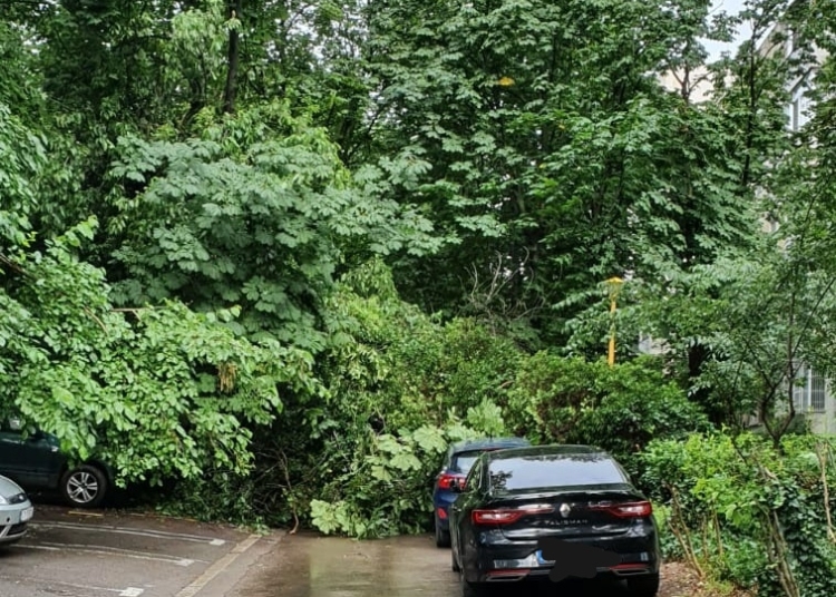 Foto cu rol ilustrativ