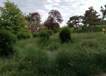 Imagine din Parcul de lângă Cyti Park Mall